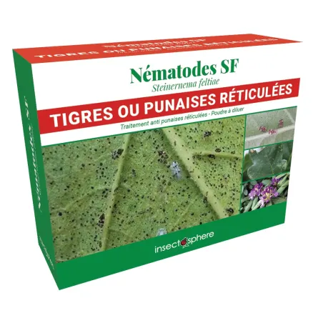 Nématodes contre les tigres ou punaises réticulées