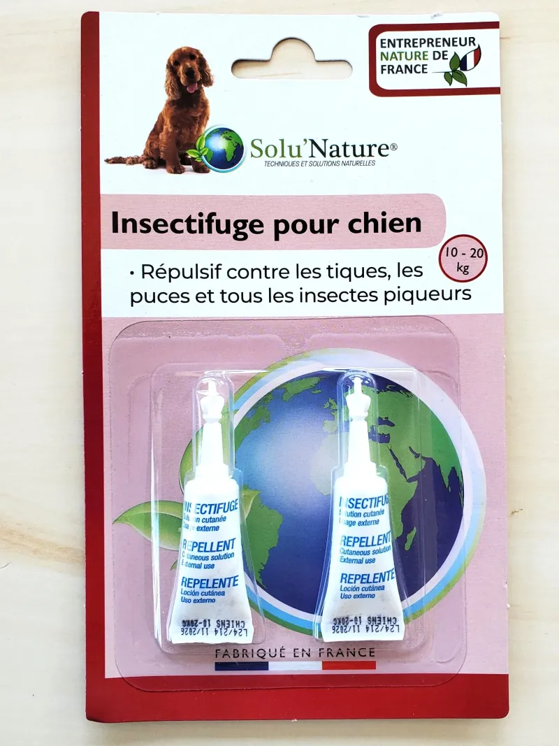 Chien Anti Puce Naturel