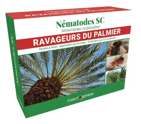 Nématodes charançon rouge palmier – traitement biologique efficace