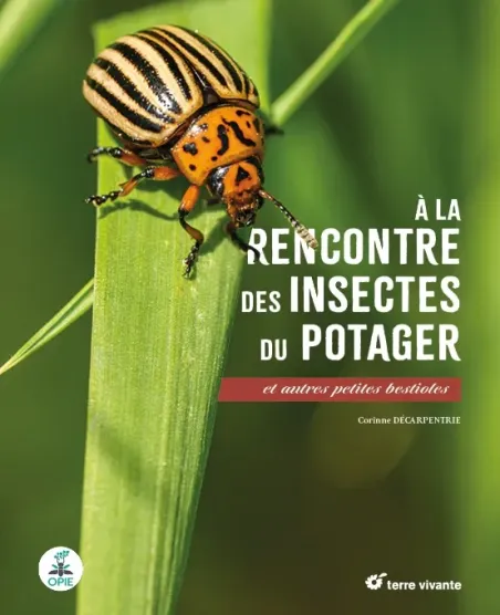 "A la rencontre des insectes du potager et autres petites bestioles" par Corinne Decarpentrie