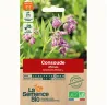 Graines de consoude officinale bio – Fertilisation naturelle du jardin