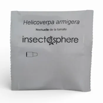 Phéromone noctuelle de la tomate – Helicoverpa armigera | Insectosphere