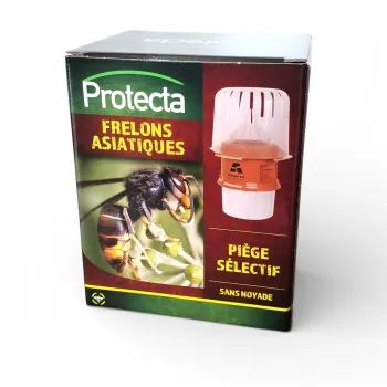 Piège sélectif frelon asiatique – modèle compact pour jardin