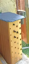 Hôtel à insectes pour abeilles solitaires