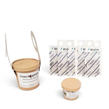 Kit d'auxiliaires de lutte biologique pour lutter contre les invasions de thrips.