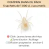 Pack anti-thrips 100 % auxiliaires  | 10 plantes