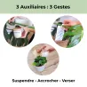 Pack anti-thrips 100 % auxiliaires  | 10 plantes