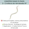 Pack anti-thrips : nématodes + cucumeris | Insectosphère