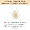 Pack anti-thrips : nématodes + cucumeris | Insectosphère