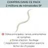 Pack anti-thrips noirs - 1 à 10 plantes