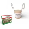 Eliminez les thrips noirs de vos plantes grâce au pack anti thrips noir : nématodes + larves de chrysopes