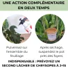 Pack anti-thrips noirs - 1 à 10 plantes