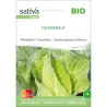 Chou cabus blanc Filderkraut bio