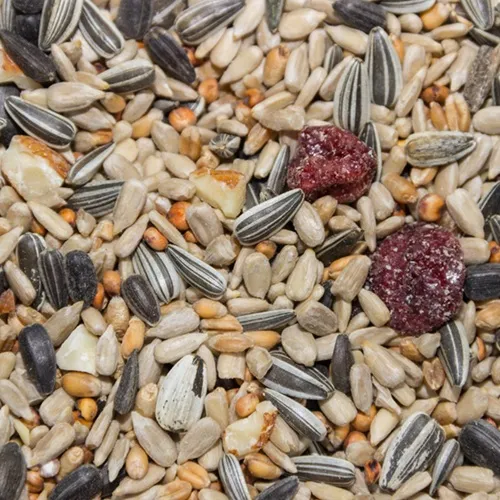 Image de Nourriture pour oiseaux