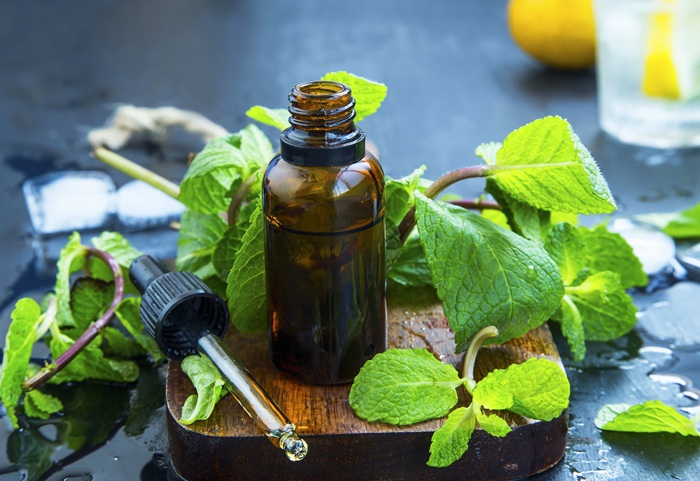 Le Mintho est un insecticide spécial rampant et volant dont la matière active est de l'huile essentielle de menthe