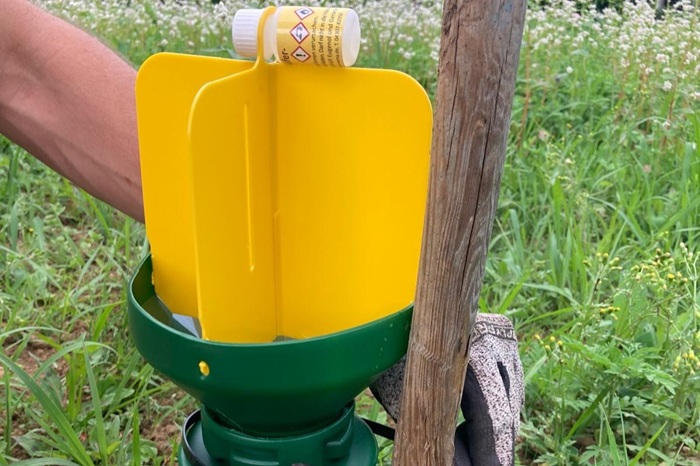 Mise en place du piège à hanneton avec le tube du phéromone positionné à l'horizontal