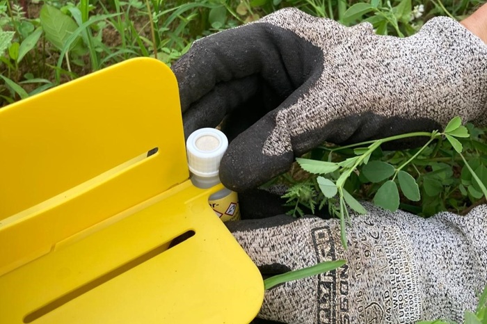 Montage du bouchon de diffusion pour la phéromone hanneton des jardins