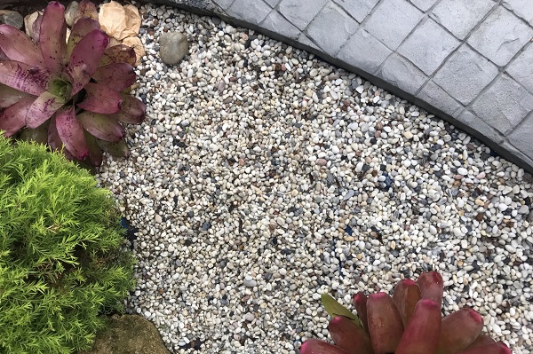 Un paillage de graviers fins est idéal contre l'otiorhynque.