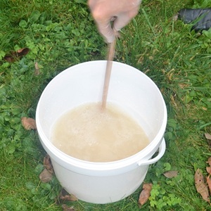 Mélanger la solution concentrée de nématodes