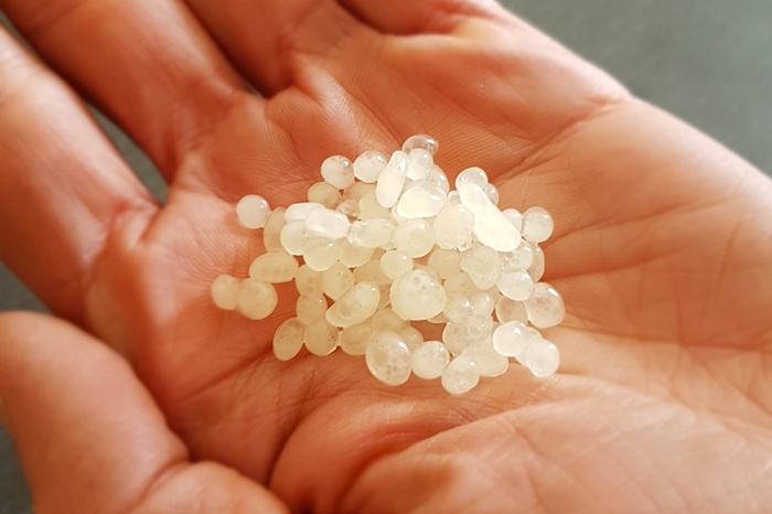 Nématodes encapsulés à incorporer au substrat.
